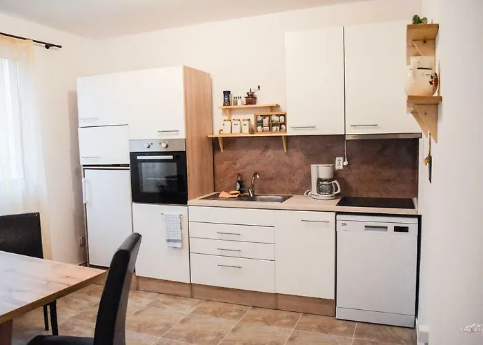 Spacious And Cozy 3bd+terrace Couples * ティミショアラ